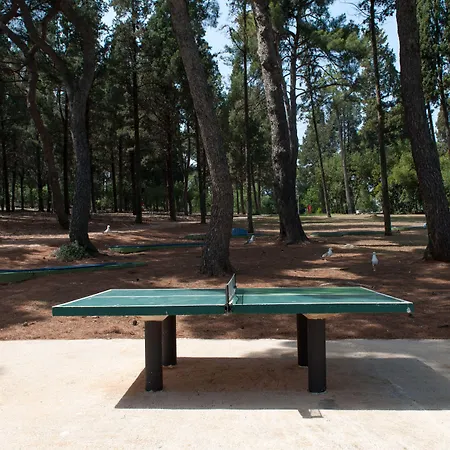 Maistra Select Island Katarina Ξενοδοχείο Ρόβινι