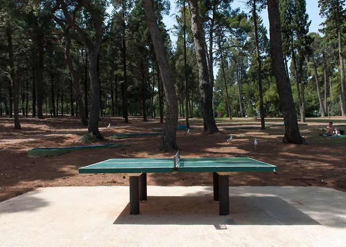 Maistra Select Island Katarina 호텔 로비니