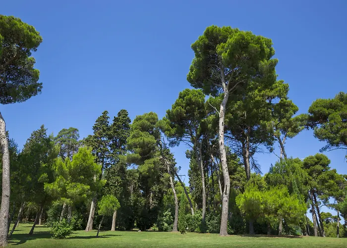 Maistra Select Island Katarina 酒店