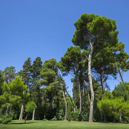 Maistra Select Island Katarina Hotel